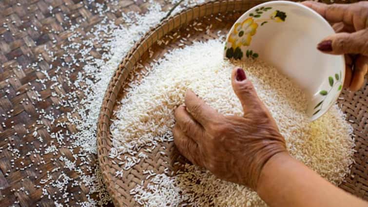 bharat brand rice will be launched next week at 29 rupees per kg government asked traders to disclose rice stock  bharat tandul price marathi news Bharat Rice : स्वस्त डाळीनंतर, आता स्वस्त तांदूळ! फक्त 29 रुपये किलोने मिळणार 'भारत तांदूळ'