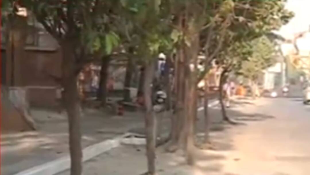 Pune News : रस्ता रुंदीकरणासाठी पुण्यात 300 झाडांची कत्तल; पर्यावरणप्रेमी संतापले! citizens seethe as pmc plans to cut 300 trees in three areas Pune News : रस्ता रुंदीकरणासाठी पुण्यात 300 झाडांची कत्तल; पर्यावरणप्रेमी संतापले!