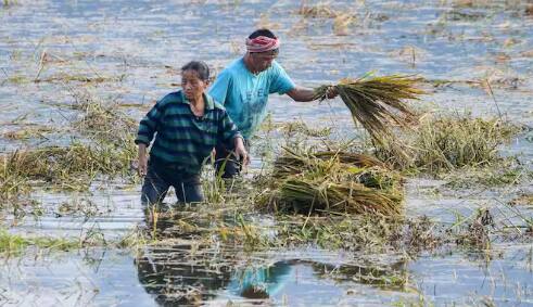 ਅਜਿਹੇ ਵਿੱਚ ਕੇਂਦਰ ਸਰਕਾਰ ਵੱਲੋਂ ਇਦਾਂ ਦੇ ਕਿਸਾਨਾਂ ਲਈ ਫ਼ਸਲ ਬੀਮਾ ਯੋਜਨਾ ਸ਼ੁਰੂ ਕੀਤੀ ਗਈ ਸੀ। ਜਿਸ ਵਿੱਚ ਹਰ ਸਾਲ ਕਰੋੜਾਂ ਕਿਸਾਨ ਰਜਿਸਟਰਡ ਹੁੰਦੇ ਹਨ।