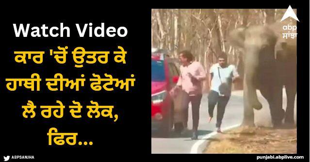 Two people taking photos of the elephant while getting out of the car Gajraj got angry watch video Viral Video: ਕਾਰ 'ਚੋਂ ਉਤਰ ਕੇ ਹਾਥੀ ਦੀਆਂ ਫੋਟੋਆਂ ਲੈ ਰਹੇ ਦੋ ਲੋਕ, ਗਜਰਾਜ ਨੂੰ ਆਇਆ ਗੁੱਸਾ, ਜੰਗਲ 'ਚ ਖ਼ੂਬ ਭੱਜਿਆ ਤੇ ਫਿਰ...