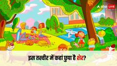 Optical Illusion: इस तस्वीर में छुपा हुआ है शेर, 8 सेकंड्स में ढूंढने का है चैलेंज