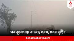West Bengal Weather : কুয়াশা ঢাকা ভোর, চড়ছে পারদ, ফের নামতে পারে বৃষ্টি, দিনক্ষণ জানাল আবহাওয়া দফতর