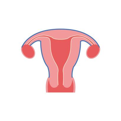 கர்ப்பப்பை வாய் புற்றுநோய், 90 சதவீதம் HPV  வைரஸுடன் தொடர்புடையது. அதனால், கூடிய விரைவில் இந்த HPV தடுப்பூசியை போட்டுக்கொள்ள வேண்டும்  என மருத்துவர்கள் ஆலோசனை செய்கின்றனர்.