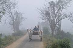West Bengal Weather : কুয়াশা ঢাকা ভোর, চড়ছে পারদ, ফের নামতে পারে বৃষ্টি, দিনক্ষণ জানাল আবহাওয়া দফতর