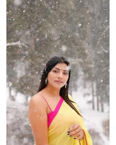 Lahari Shari Latest Photos: ఎల్లో శారీలో మెరిసిపోతున్న 'బిగ్‌బాస్‌' బ్యూటీ లహరి - మంచు కొండల్లో అందాల ఆరబోత