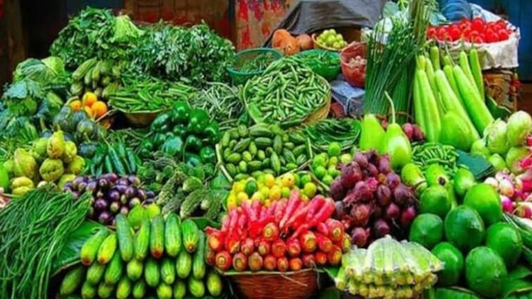 Chhattisgarh Janjgir Champa About 20 tonnes of vegetables are sent MP Odisha Jharkhand other states ann Chhattisgarh: जांजगीर-चांपा की सब्जी की मांग मध्य प्रदेश, ओडिशा, झारखंड तक, हर रोज 20 टन से ज्यादा हो रही एक्सपोर्ट