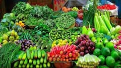 जांजगीर-चांपा की सब्जी की मांग मध्य प्रदेश, ओडिशा, झारखंड तक, हर रोज 20 टन से ज्यादा हो रही एक्सपोर्ट