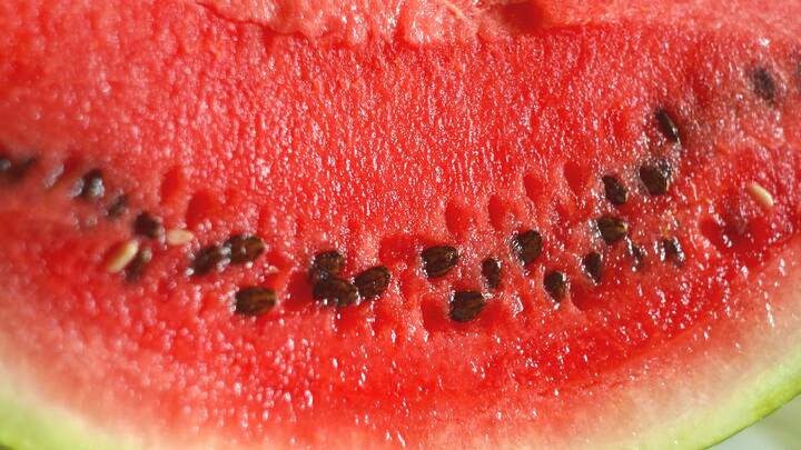Benefits Of Eating Watermelon Seeds : कलिंगडाच्या बिया चुकूनही फेकू नका, फायदे वाचून व्हाल थक्क
