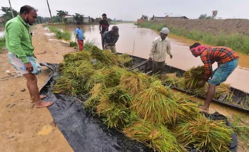 ਇਸ ਸਕੀਮ ਦਾ ਲਾਭ ਲੈਣ ਲਈ, ਪਹਿਲਾਂ ਤੁਹਾਨੂੰ ਬੀਮਾ ਵਿੱਚ ਰਜਿਸਟਰ ਕਰਨਾ ਹੋਵੇਗਾ, ਇਸਦੇ ਲਈ ਤੁਸੀਂ ਅਧਿਕਾਰਤ ਵੈੱਬਸਾਈਟ 'ਤੇ ਜਾ ਕੇ ਅਰਜ਼ੀ ਦੇ ਸਕਦੇ ਹੋ। ਕਿਸਾਨ ਕ੍ਰੈਡਿਟ ਕਾਰਡ ਵਾਲੇ ਲਾਭਪਾਤਰੀ ਬੈਂਕ ਵਿੱਚ ਜਾ ਕੇ ਰਜਿਸਟ੍ਰੇਸ਼ਨ ਕਰਵਾ ਸਕਦੇ ਹਨ।