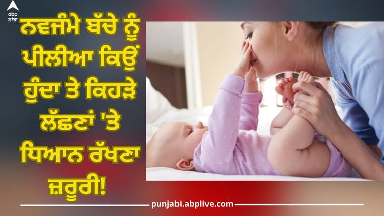 Why does a newborn baby get jaundice, pay attention to these symptoms to avoid danger Newborn Jaundice: ਨਵਜੰਮੇ ਬੱਚੇ ਨੂੰ ਕਿਉਂ ਹੁੰਦਾ ਪੀਲੀਆ, ਖ਼ਤਰੇ ਤੋਂ ਬਚਾਉਣ ਲਈ ਇਨ੍ਹਾਂ ਲੱਛਣਾਂ 'ਤੇ ਰੱਖੋ ਧਿਆਨ