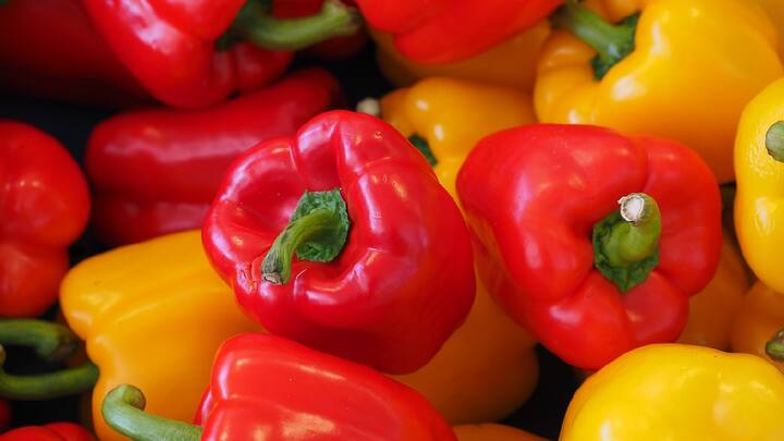 capsicum  Benefits : तुम्हालाही आवडते सिमला मिरची; जाणून घ्या त्याचे फायदे आणि तोटे