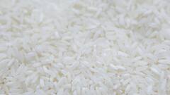 Beauty Tips :तांदळाचा असा वापर खुलवेल तुमचे सौंदर्य