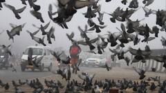 Punjab-Haryana Weather: हरियाणा-पंजाब में ठंड का प्रकोप जारी, 3 दिन तक बारिश का अलर्ट, तेज रफ्तार के साथ चलेगी शीतलहर