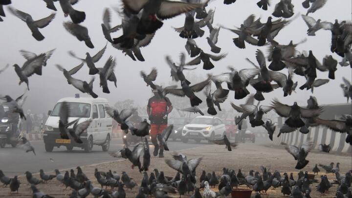 मौसम विभाग की एक रिपोर्ट के अनुसार, पंजाब के अन्य स्थानों में, अमृतसर में न्यूनतम तापमान 10.3 डिग्री सेल्सियस दर्ज किया गया, जबकि लुधियाना और पटियाला में न्यूनतम तापमान क्रमशः 9.4 और 8.4 डिग्री सेल्सियस दर्ज किया गया.