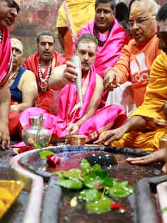 Rahul Gandhi Performs Rudrabhishek At Deoghar's Baidyanath Dham — IN PICS