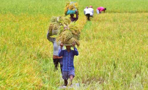 ਕੇਂਦਰ ਅਤੇ ਰਾਜ ਸਰਕਾਰਾਂ ਵੱਲੋਂ ਕਿਸਾਨਾਂ ਲਈ ਕਈ ਤਰ੍ਹਾਂ ਦੀਆਂ ਸਕੀਮਾਂ ਚਲਾਈਆਂ ਜਾਂਦੀਆਂ ਹਨ। ਦੇਸ਼ ਭਰ ਦੇ ਕਰੋੜਾਂ ਕਿਸਾਨ ਇਨ੍ਹਾਂ ਦਾ ਲਾਭ ਉਠਾਉਂਦੇ ਹਨ।