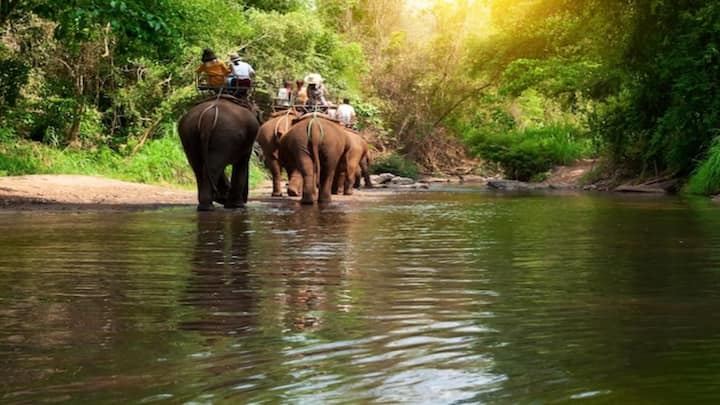 इस पैकेज में आईआरसीटीसी ब्रेकफास्ट, लंच और डिनर तीनों की सुविधा देगी. इस पैकेज में टूर मैनेजर की फैसिलिटी मिल रही है.