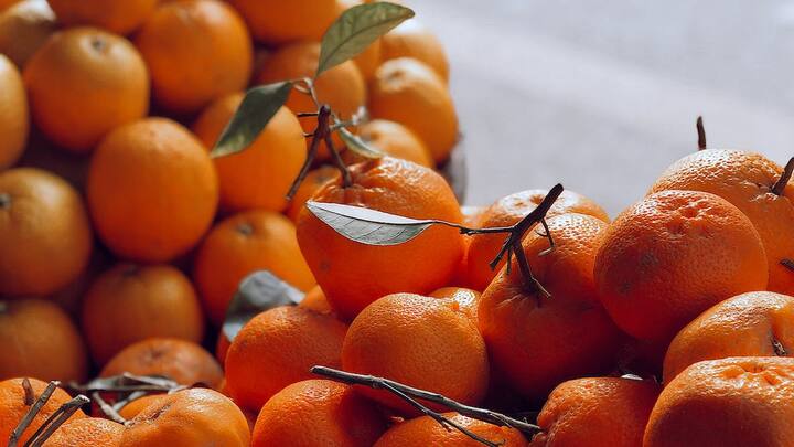 एक्सपर्ट्स के अनुसार संतरे को गर्म और ह्यूमिड जलवायु की जरूरत होती है. इसे उगने के लिए 15 डिग्री सेल्सियस से लेकर 30 डिग्री सेल्सियस के बीच का तापमान अच्छा माना जाता है.