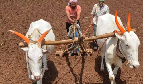 ਇਸ ਸਕੀਮ ਵਿੱਚ ਕਿਸਾਨ ਘੱਟ ਪ੍ਰੀਮੀਅਮ ਦੇ ਕੇ ਆਪਣੀ ਫਸਲ ਦਾ ਬੀਮਾ ਕਰਵਾਉਂਦੇ ਹਨ ਜੇਕਰ ਫਸਲ ਦਾ ਕੋਈ ਨੁਕਸਾਨ ਹੁੰਦਾ ਹੈ ਤਾਂ ਉਨ੍ਹਾਂ ਨੂੰ ਪੂਰਾ ਮੁਆਵਜ਼ਾ ਮਿਲਦਾ ਹੈ।