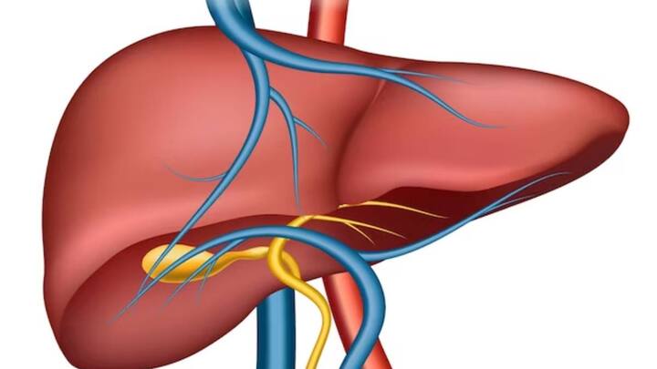 যদি দেখা যায়, শুরুতে কোনো লক্ষণ দেখা যায় না, তবে ধীরে ধীরে কিছু সমস্যার মাধ্যমে বোঝা যেতে পারে যে ফ্যাটি লিভারের রোগ আছে কিনা। আসুন জেনে নিই ফ্যাটি লিভারের লক্ষণগুলো কী কী।