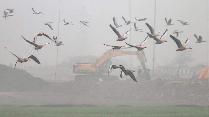 Haryana-Punjab Weather Report:पंजाब और हरियाणा में ठंड का प्रकोप जारी है. मौसम विभाग ने एक बार फिर दोनों प्रदेशों में बारिश का अलर्ट जारी किया है.