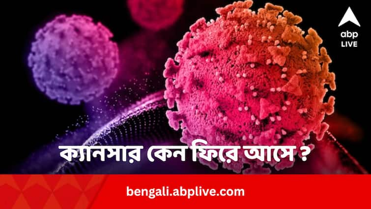 World Cancer Day 2024 why cancer happens again know from expert Recurring Cancer: ক্যানসার কেন বারবার ফিরে আসে ? আলোচনায় বিশেষজ্ঞ চিকিৎসক