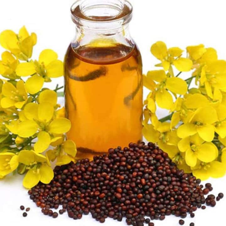 ਇਨ੍ਹਾਂ ਦੋਵਾਂ ਥਾਵਾਂ ਤੋਂ ਇਲਾਵਾ ਆਸਟ੍ਰੇਲੀਆ ਅਤੇ ਕੈਨੇਡਾ ਵਿਚ ਵੀ ਲੋਕ ਖਾਣਾ ਬਣਾਉਣ ਲਈ ਸਰ੍ਹੋਂ ਦੇ ਤੇਲ ਦੀ ਵਰਤੋਂ ਨਹੀਂ ਕਰਦੇ। ਪਰ ਅਜਿਹਾ ਕਿਉਂ ਹੈ? ਇਹ ਸਾਰੇ ਦੇਸ਼ ਖਾਣਾ ਬਣਾਉਣ ਲਈ ਸਰ੍ਹੋਂ ਦੇ ਤੇਲ ਦੀ ਵਰਤੋਂ ਕਿਉਂ ਨਹੀਂ ਕਰਦੇ? ਆਓ ਜਾਣਦੇ ਹਾਂ ਇਸ ਦੇ ਪਿੱਛੇ ਦਾ ਕਾਰਨ।