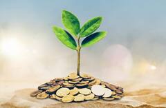 આ 5 બેંક સિનિયર સિટીઝનને આપી રહી છે સૌથી વધુ વ્યાજ, ચેક કરો વ્યાજ દર