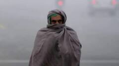 West Bengal Weather : কুয়াশা ঢাকা ভোর, চড়ছে পারদ, ফের নামতে পারে বৃষ্টি, দিনক্ষণ জানাল আবহাওয়া দফতর