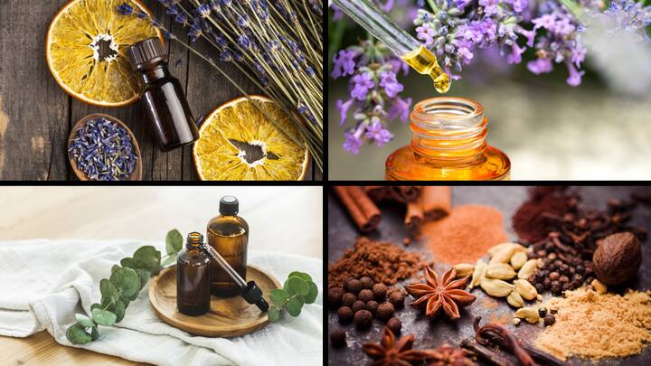 Natural fragrances originating from flowers and herbs are frequently utilised in Yoga practice, in addition to essential oils and incense. Here are some that you can include in your regime.