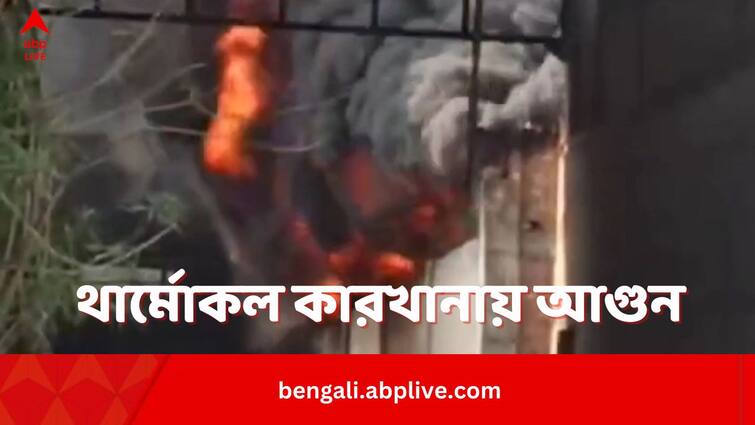 Thermocol Factory On Fire At Howrah Howrah Fire: ডোমজুড়ে থার্মোকল কারখানায় আগুন