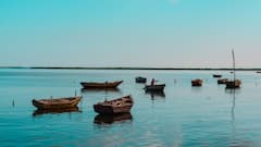 वैलेंटाइन डे पर पार्टनर के साथ स्पेंड करना है गुड टाइम? ओडिशा की ये जगहें नहीं है स्वर्ग से कम