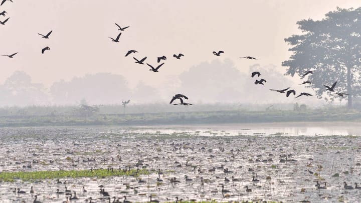 কিন্তু কথা হচ্ছে এভাবে দক্ষিণবঙ্গে জাঁকিয়ে শীতের যাতায়াত আর কতদিন ? হাওয়া অফিস জানিয়েছে, কনকনে শীতের আমেজ ক্ষণস্থায়ী।