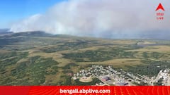 Chile Wild Fire:দাবানলে ঝলসে যাচ্ছে চিলি, নিহত এখনই ৫১