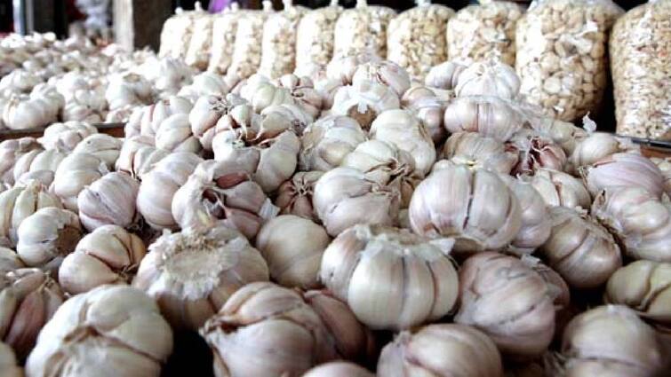 Vegetables price list february 4 2024 chennai koyambedu market Vegetable Price: சண்டே ஷாக்.. ஒரு கிலோ பூண்டு ரூ.500.. கடுமையாக உயர்ந்த கேரட், பீன்ஸ்.. மற்ற காய்கறிகளின் விலை இதோ..