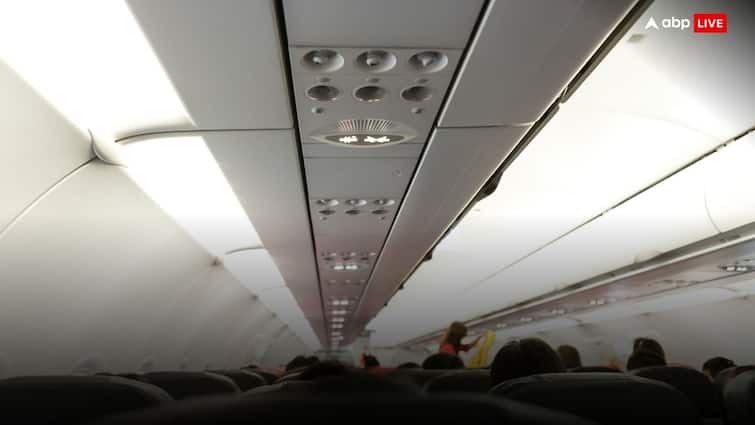 Crew member finds dirty undergarments and Used condom inside American Airlines flight Flight Attendant Story: फ्लाइट के अंदर ये क्या.... क्रू मेंबर ने देखे यूज किए हुए कंडोम और गंदे अंडरवियर!