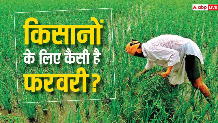 It is cold and raining in February, is this weather good for farmers फरवरी में पड़ रही है ठंड और हो रही है बारिश, क्या किसानों के हिसाब से ठीक है ये मौसम?