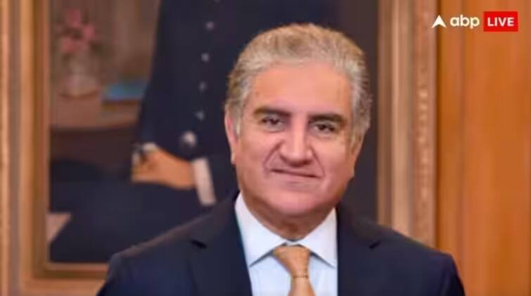 pakistan former foreign minister shah mehmood qureshi banned from contesting elections for 5 years Pakistan Election: ਪਹਿਲਾਂ ਇਮਰਾਨ ਦੀ 'ਵਿਕਟ' ਡਿੱਗੀ, ਹੁਣ ਸ਼ਾਹ ਮਹਿਮੂਦ ਵੀ ਹੋਏ 'ਬੋਲਡ', ਚੋਣ ਕਮਿਸ਼ਨ ਨੇ 5 ਸਾਲ ਦੀ ਚੋਣ ਲੜਨ 'ਤੇ ਲਗਾਈ ਪਾਬੰਦੀ