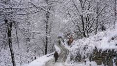 PHOTOS: कश्मीर में बर्फबारी से जनजीवन प्रभावित, श्रीनगर में सभी उड़ानें रद्द, पर्वतीय इलाकों में हिमस्खलन की चेतावनी