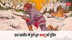 Optical Illusion: इस तस्वीर में कहां छुपा है भालू, 10 सेकेंड में ढूंढकर दिखा दिया तो मान जाएंगे आपको