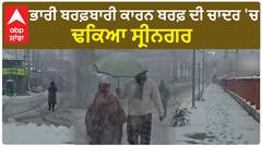 Srinagar Snowfall| ਭਾਰੀ ਬਰਫ਼ਬਾਰੀ ਕਾਰਨ ਬਰਫ਼ ਦੀ ਚਾਦਰ 'ਚ ਢਕਿਆ ਸ੍ਰੀਨਗਰ