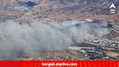 Chile Wild Fire:দাবানলে ঝলসে যাচ্ছে চিলি, নিহত এখনই ৫১