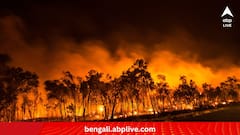 Chile Wild Fire:দাবানলে ঝলসে যাচ্ছে চিলি, নিহত এখনই ৫১