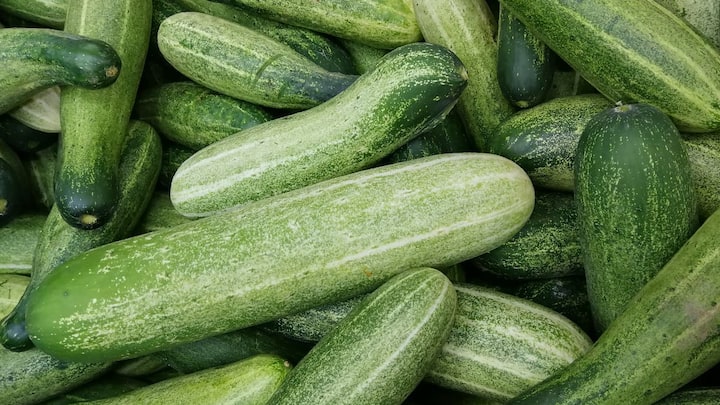 Cucumber Benefits   :  काकडीत 90% पाणी असते, जे आपल्या शरीराला हायड्रेशन प्रदान करण्यास मदत करते. इतकंच नाही तर तुमच्या आहारात काकडीचा नियमित समावेश करण्याचे अनेक फायदे आहेत.