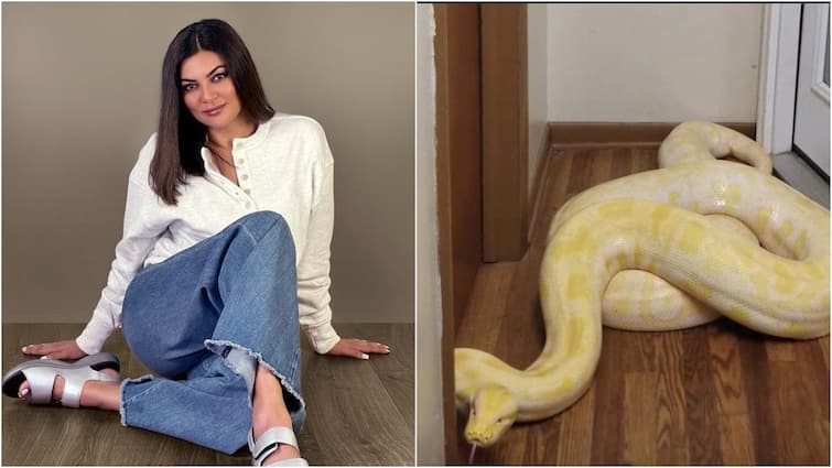 Actress Sushmita Sen Own Pet Python Her House Rumors Goes Viral Sushmita Sen: కొండ చిలువను పెంచుకుంటున్న స్టార్‌ హీరోయిన్‌! - షాకవుతున్న నెటిజన్లు