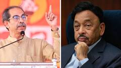 पण मला कुठं माहिती तिकडं कोंबड्यांचा कारखाना ठेवलाय; उद्धव ठाकरेंचा नारायण राणेंवर बोचरा वार