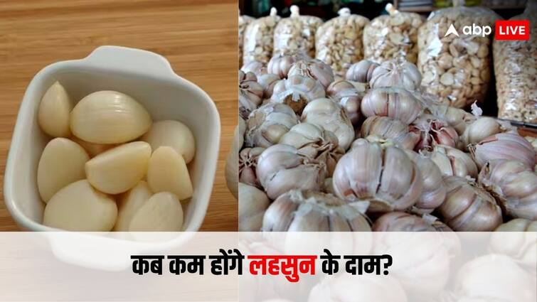 Why is garlic being sold for more than Rs 400 per kg When is it expected to become cheaper know details क्यों 400 रुपये किलो से ज्यादा में बिक रहा है लहसुन? कब तक सस्ता होने की है उम्मीद