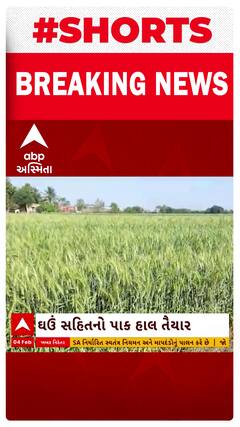 Rajkot Farmers | વાદળો ઘેરાતાં રાજકોટના ખેડૂતો બન્યા ચિંતિત