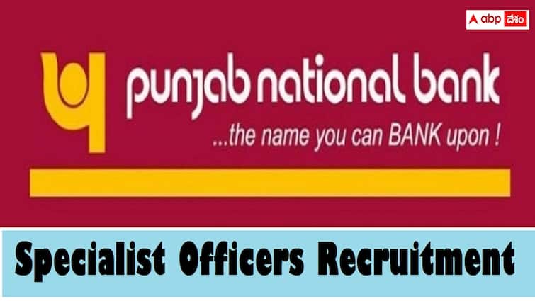 Punjab National Bank has released notification for the recruitment of Specialist Officer Posts PNB Jobs: పంజాబ్ నేషనల్ బ్యాంకులో 1025 స్పెషలిస్ట్ ఆఫీసర్ పోస్టులు, ఎంపిక ఇలా