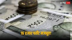 10 साल में 16 हजार पर्सेंट चढ़ा शेयर, 10 हजार रुपये से बनाया 16 लाख